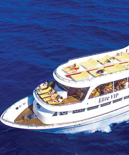 Elite vip trip3 500x600